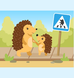 Hedgehog Mom Or Dad Going To Pedestrian Crossing