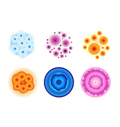 Set Colorful Mold Fungi Or Cells In Lab Petri