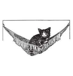 Cat In Hammock Vintage