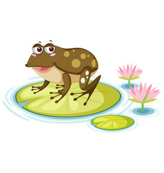 Cute Frog On Lily Pad White Background