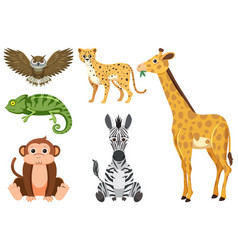 Wild Animals In Simple Cartoon Style