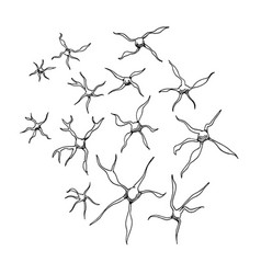 Set Neurons Brain Cells Doodle Black Ink Lines