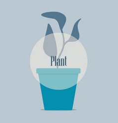 Plants In The Pots Blue Vase Background