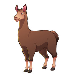 Llama Cartoon Animal