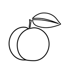 Victoria Plum Outline