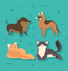 Four Dogs And Cats