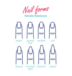 nail oval shape vector images over 250