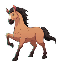 Stallion Horse Cartoon Animal