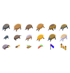 Echidna Icons Set Isometric Australia