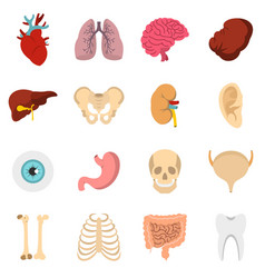 Internal human organs icons set flat style Vector Image