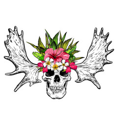 Hand Drawn Skull With Deer Horns And Flowers