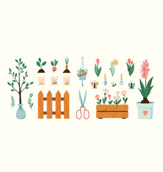 Home Vegetables Gardening Hobby Set