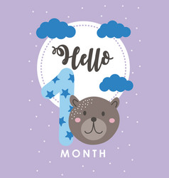 Baby Month Card