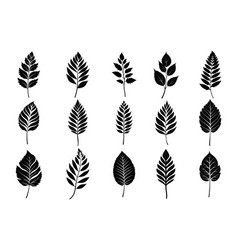 Birch Leaf Silhouettes Tree Branch With Lea