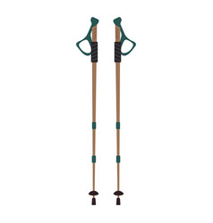 Nordic Walking Poles Ski Or Trekking Equipment