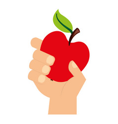 Hand Holding Apple Fresh Food