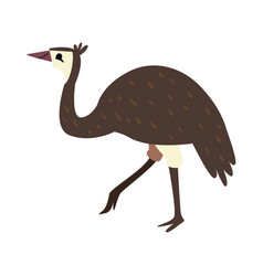 Flat Australian Bird