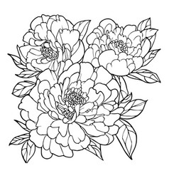 Victorian Vintage Peony