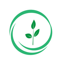 Leaf Logo