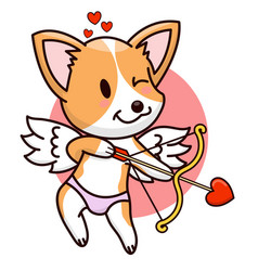 Cupid Pembroke Welsh Corgi Dog