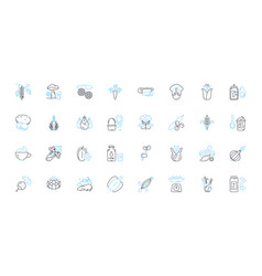 Active Lifestyle Linear Icons Set Fitness Sports