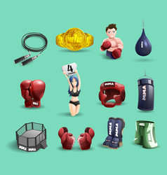 Mma Fights 3d Icons Set