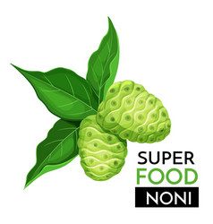 Noni Icon