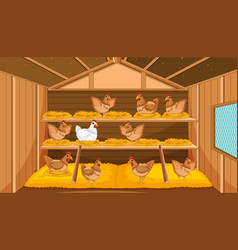 Inside Of A Chicken House Hay And Straw For Egg