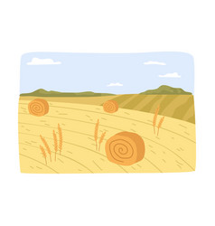 Farm Field With Hay Bales Agriculture Business