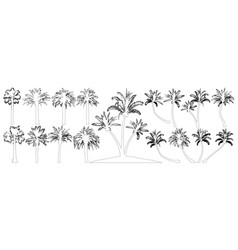 Palm Trees Contour Set Coconut Tree Date