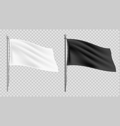 Realistic Flag Mockups Set