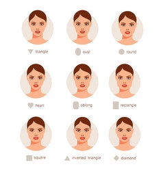 Set different woman face types Royalty Free Vector Image