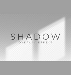 Shadow Overlay Effect Transparent Soft Light And