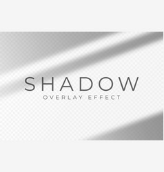 Shadow Overlay Effect Transparent Soft Light And