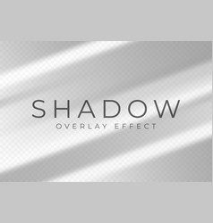 Shadow Overlay Effect Transparent Soft Light And