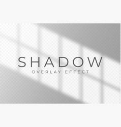 Shadow Overlay Effect Transparent Soft Light And