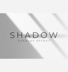 Shadow Overlay Effect Transparent Soft Light And