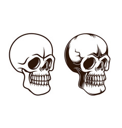 Skull Tattoo Retro