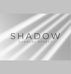 Shadow Overlay Effect Transparent Soft Light And