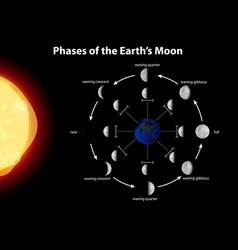 Diagram Showing Phases Earth Moon