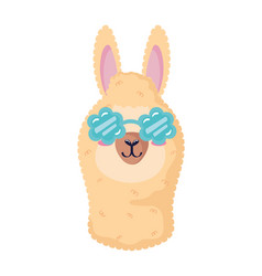 Llama Wearing Sunglasses