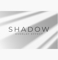 Shadow Overlay Effect Transparent Soft Light And