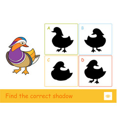 Find Correct Shadow Quiz Learning Children