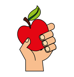 Hand Holding Apple Fresh Food