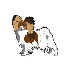 Papillon Dog Simple