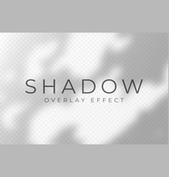 Shadow Overlay Effect Transparent Soft Light And