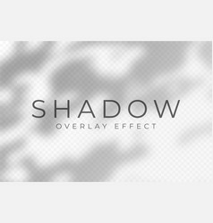 Shadow Overlay Effect Transparent Soft Light And