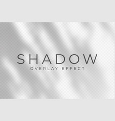 Shadow Overlay Effect Transparent Soft Light And