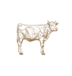 Cow Bull Beef Vintage Retro Print