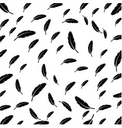 Feather Background